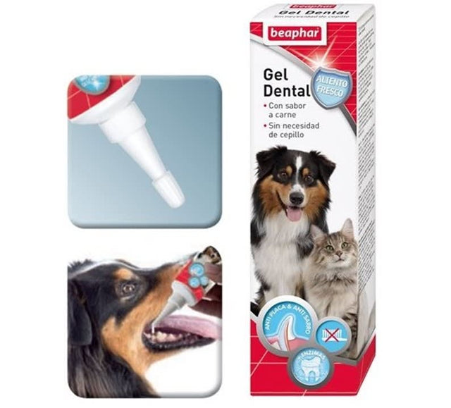 Beaphar Gel Cuidado Dental Perros Y Gatos 100Gr  Beaphar Gel Cuidado Dental Perros Y Gatos 100Gr