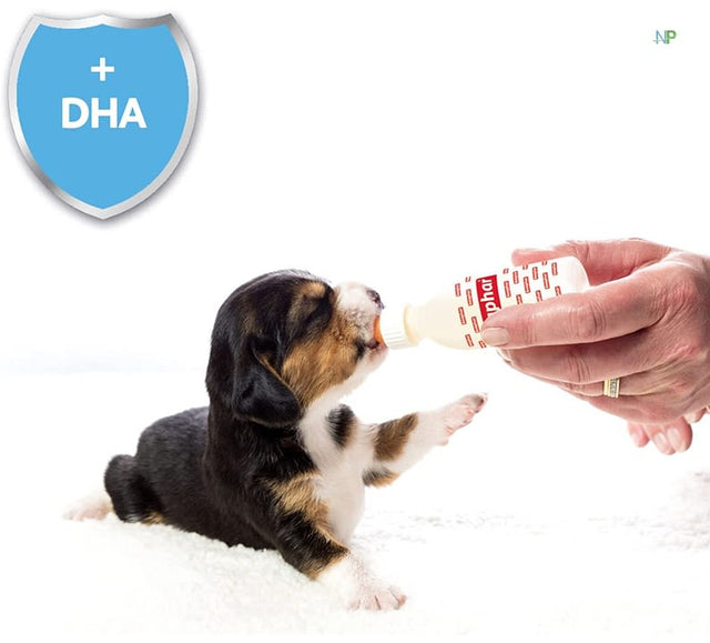 Beaphar Set Mamadera Lactol 35Ml  Beaphar Set Mamadera Lactol 35Ml