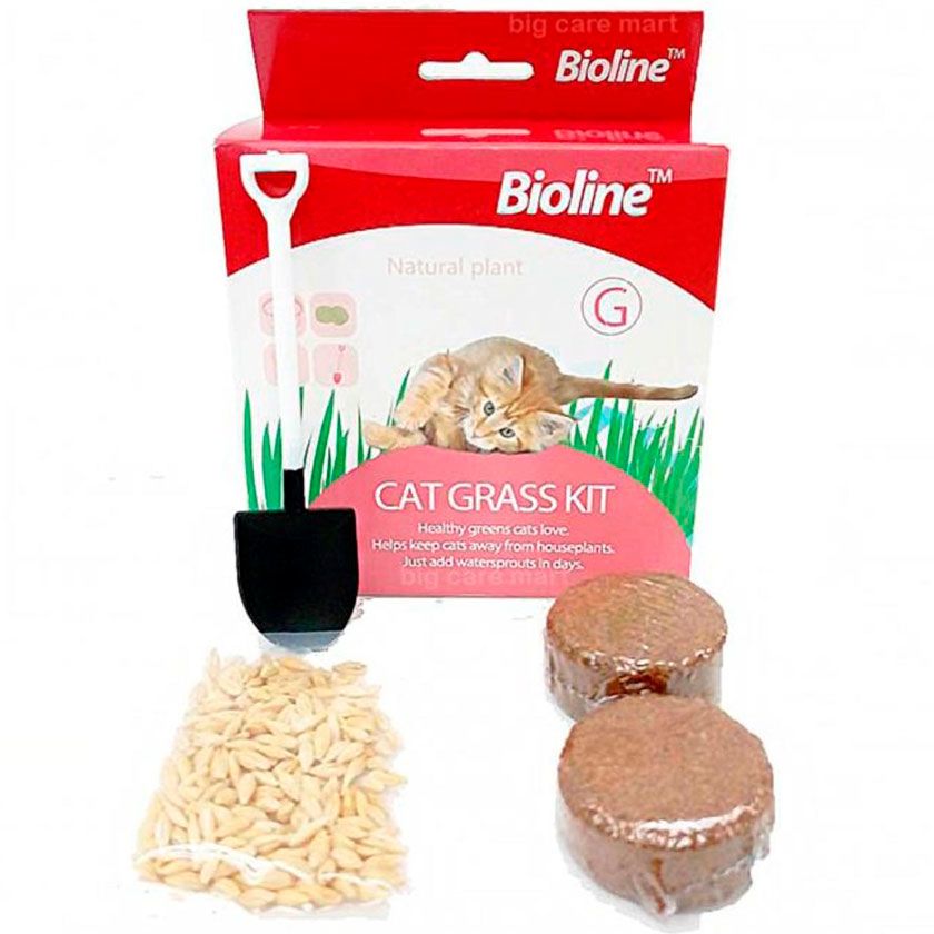 Bioline Kit De Siembra Hierba Gatera 12Gr