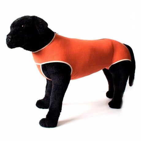 Salud y Bienestar para Perros Body Cobre Copper Protection T 5 7 5 A 10Kg Salud y Bienestar para Perros Body Cobre Copper Protection T 5 7 5 A 10Kg