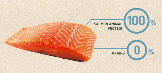 Bravery Salmon Adult Cat 2Kg