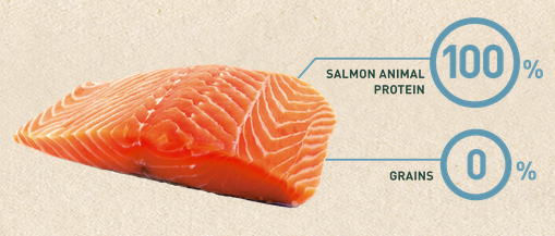 Bravery Salmon Adult Cat Sterilized 2Kg  Bravery Salmon Adult Cat Sterilized 2Kg