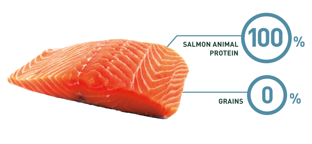 Bravery Salmon Adult Large Medium 4Kg