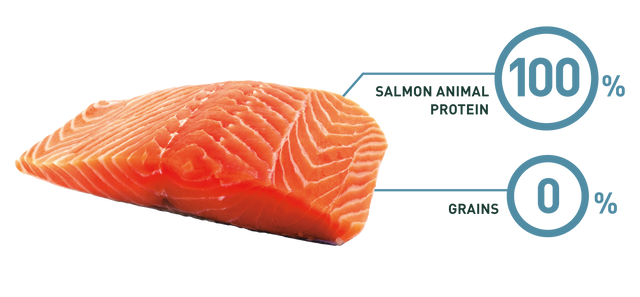 Bravery Salmon Adult Large Medium 4Kg  Bravery Salmon Adult Large Medium 4Kg