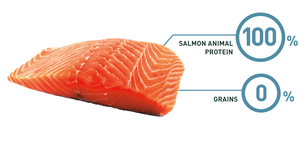 Bravery Salmon Adult Large Medium 12Kg