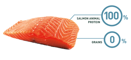 Alimento para Perros Bravery Salmon Adult Large Medium 12Kg Alimento para Perros Bravery Salmon Adult Large Medium 12Kg