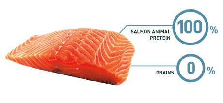Alimento para Perros Bravery Salmon Mini Adult 7Kg Alimento para Perros Bravery Salmon Mini Adult 7Kg