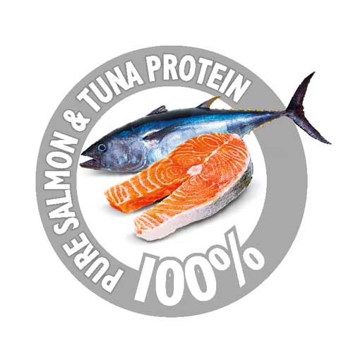 Brit Care Adult Mini Yorkshire 2Kg Brit Care Adult Mini Yorkshire 2Kg