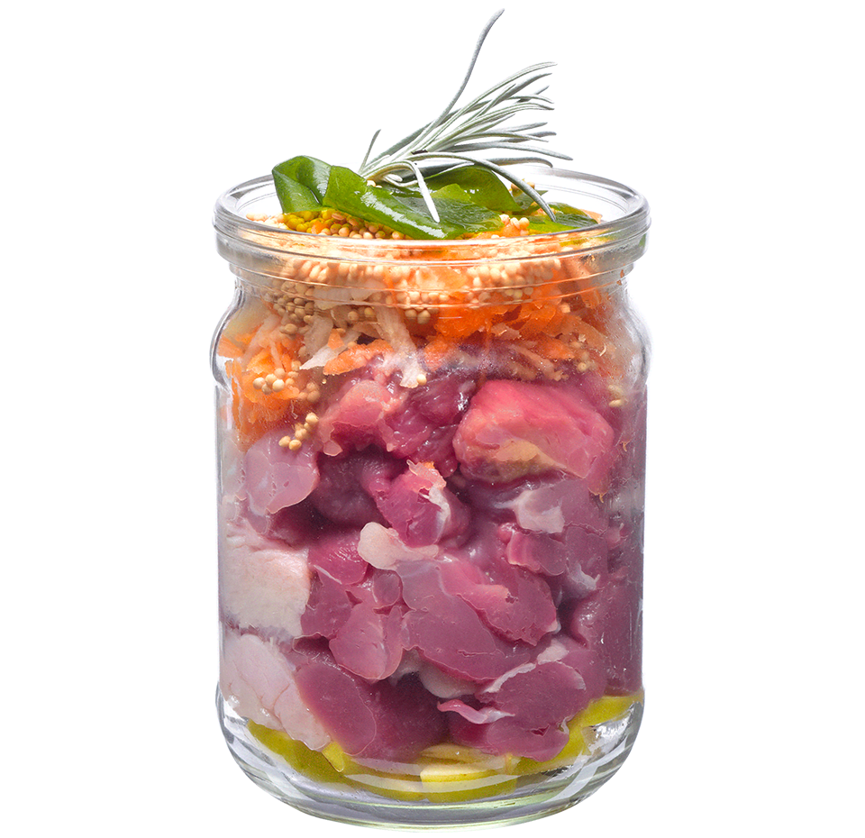 Brit Fresh Perros Duck With Millet 400Gr