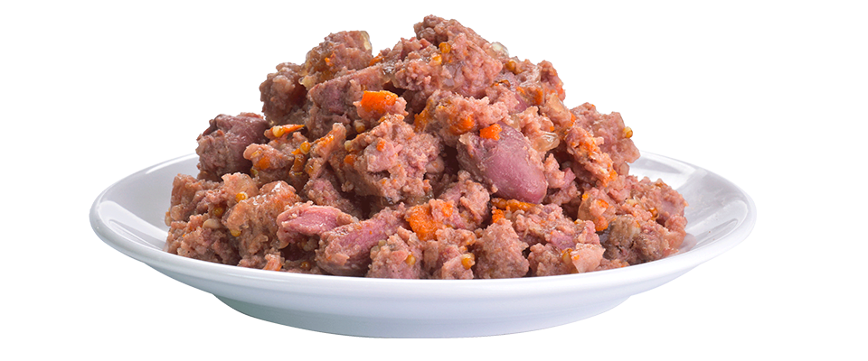 Brit Fresh Perros Duck With Millet 400Gr