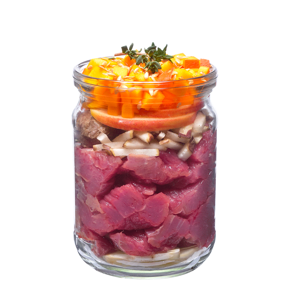 Brit Fresh Perros Carne Con Calabaza 400Gr Pack 6 Unidades