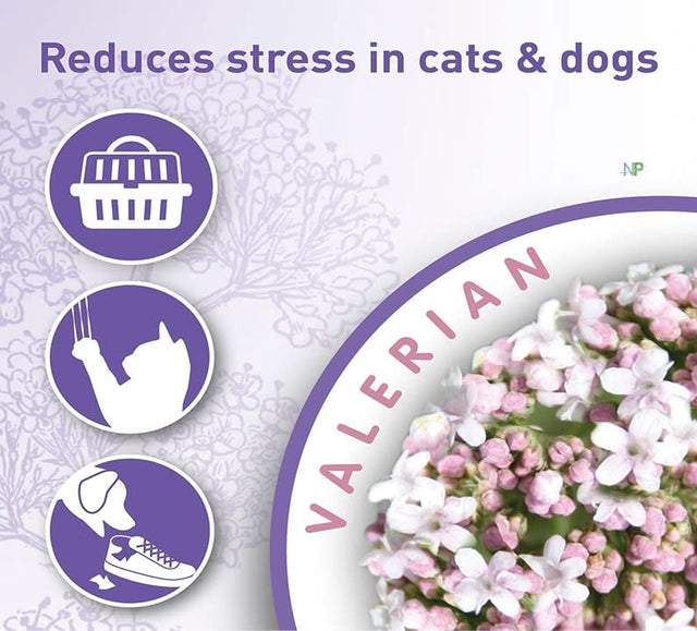 Beaphar Calming Home Spray Calmante Perros Y Gatos 125Ml Beaphar Calming Home Spray Calmante Perros Y Gatos 125Ml