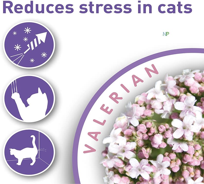 Beaphar Calming Collar Calmante Gato