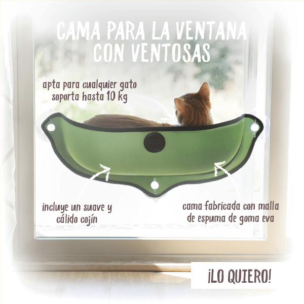 Cama De Fieltro Para Ventanas Cama De Fieltro Para Ventanas