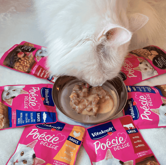 Vitakraft Cat Snack Poesi Delice Sabor Carne 85Gr Vitakraft Cat Snack Poesi Delice Sabor Carne 85Gr