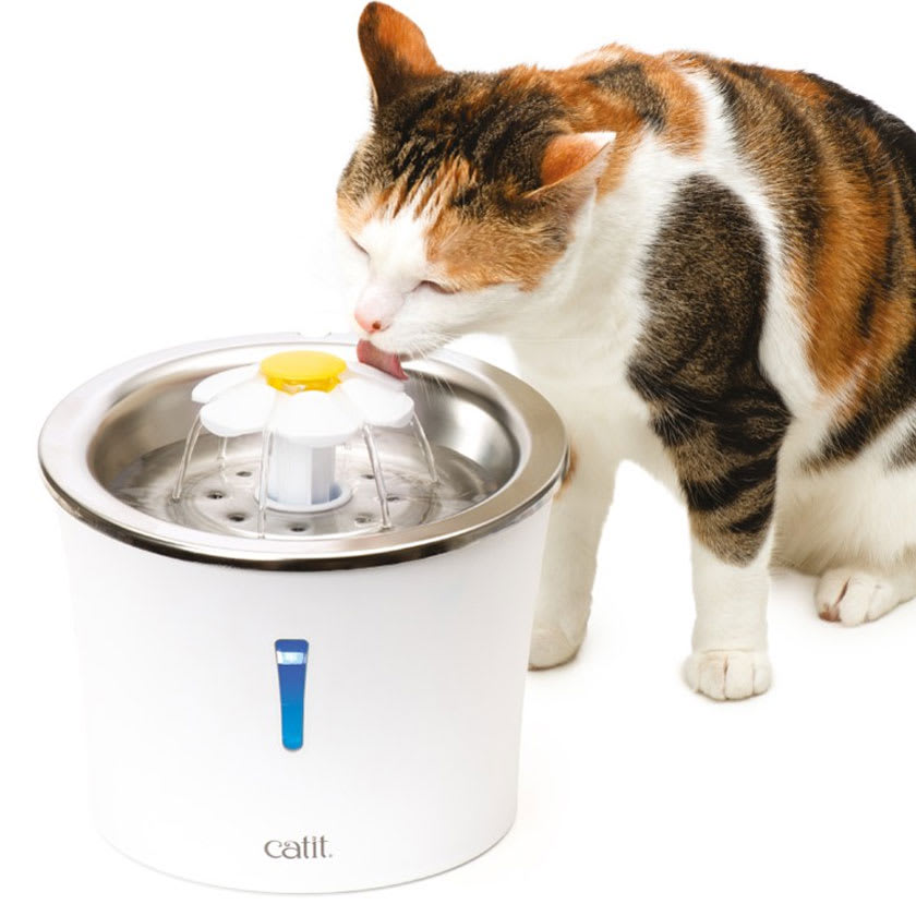 Cat It Fuente Bebedera De Acero Inoxidable 3Ltrs