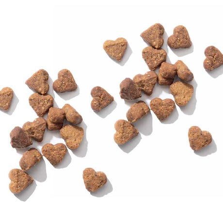 Galletas para Gatos Cat It Nuna Insecto Y Arenque 60Gr Galletas para Gatos Cat It Nuna Insecto Y Arenque 60Gr