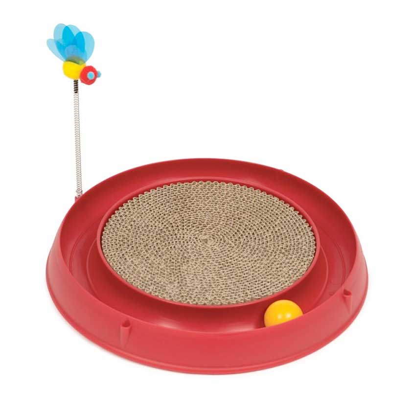 Cat It Play Circuito 3 En 1 Con Rasgunador