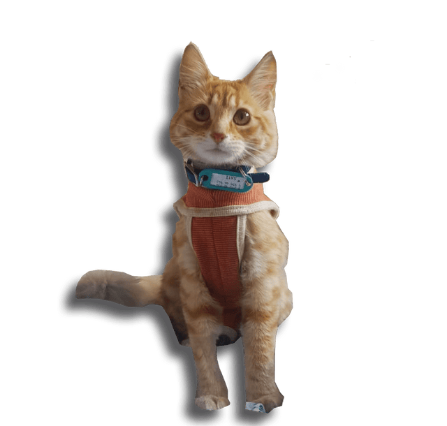 Body Cobre Copper Protection T 7 13 A 17Kg  Body Cobre Copper Protection T 7 13 A 17Kg