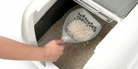 Accesorios - Halloween Cat It Pala Para Arena Sanitaria Negra Accesorios - Halloween Cat It Pala Para Arena Sanitaria Negra