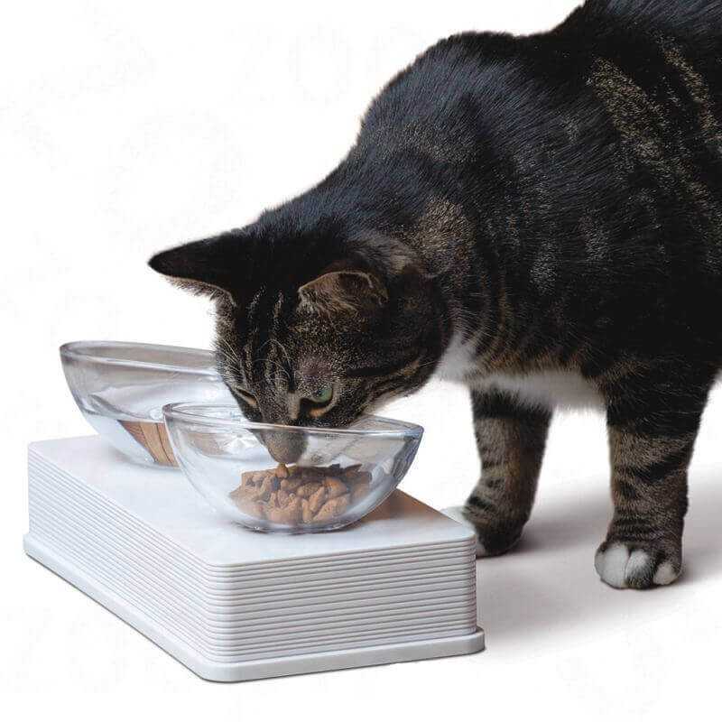 Cat It Plato De Vidrio Base Blanca Para Gatos