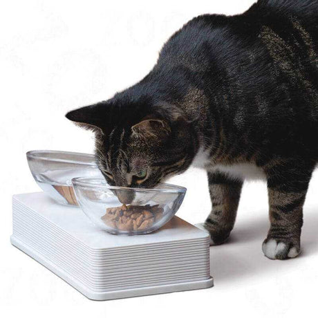 Juguetes y Accesorios para Gatitos Cat It Plato De Vidrio Base Blanca Para Gatos Juguetes y Accesorios para Gatitos Cat It Plato De Vidrio Base Blanca Para Gatos