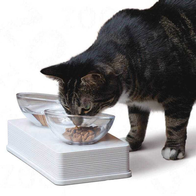 Cat It Plato De Vidrio Base Blanca Para Gatos  Cat It Plato De Vidrio Base Blanca Para Gatos