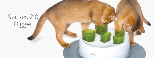 Cat It Senses 2 0 Digger  Cat It Senses 2 0 Digger
