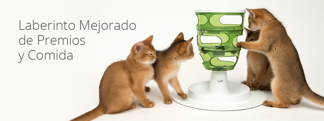 Cat It Senses 2 0 Food Tree  Cat It Senses 2 0 Food Tree