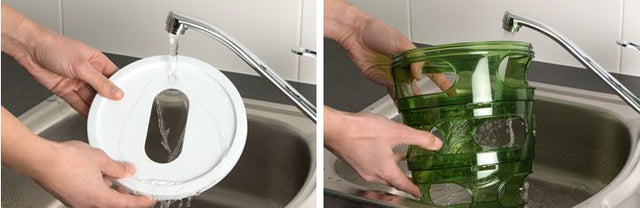 Cat It Senses 2 0 Food Tree  Cat It Senses 2 0 Food Tree