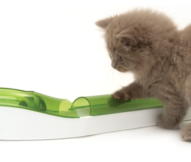 Cat It Senses 2 0 Play Circuit Cat It Senses 2 0 Play Circuit