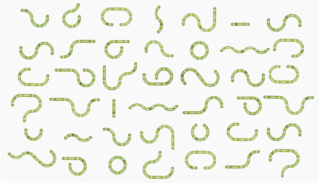 Cat It Senses 2 0 Play Circuit Cat It Senses 2 0 Play Circuit