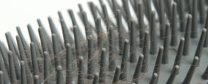 Cat It Senses 2 0 Self Groomer