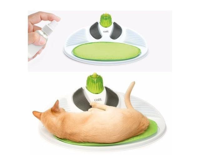 Cat It Senses 2 0 Wellness Center Cat It Senses 2 0 Wellness Center