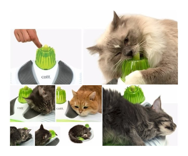 Cat It Senses 2 0 Wellness Center Cat It Senses 2 0 Wellness Center