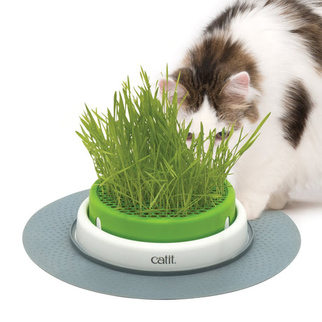 Juguetes Interactivos para Gatos Cat It Senses 2 0 Grass Planter Juguetes Interactivos para Gatos Cat It Senses 2 0 Grass Planter