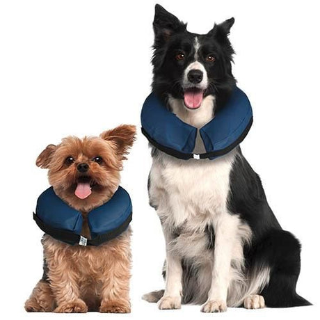 MB Collar Isabelino Inflable Selecciona La Talla MB Collar Isabelino Inflable Selecciona La Talla