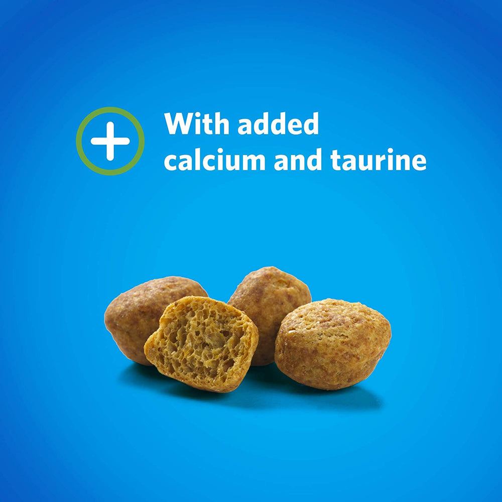 Dentalife Gato Pack 12 Unidades