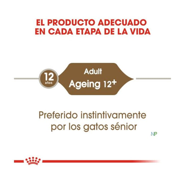 Royal Canin Gato Ageing 12 Pouch 85 Gr  Royal Canin Gato Ageing 12 Pouch 85 Gr