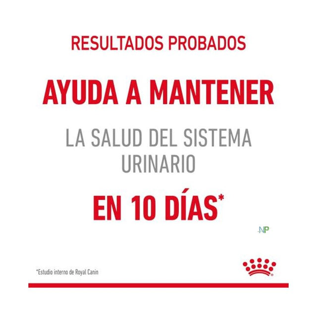 Royal Canin Gato Urinary Care Pouch 85 Gr  Royal Canin Gato Urinary Care Pouch 85 Gr