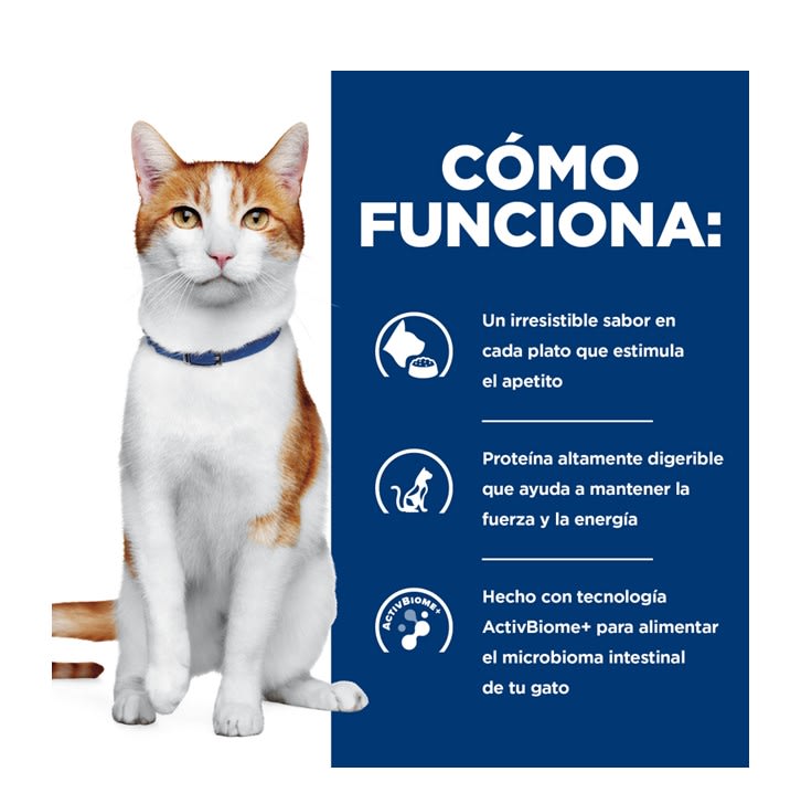 Lata Felino Hills Prescription Diet Onc Care Estofado De Pollo Y Verduras 82 Gr