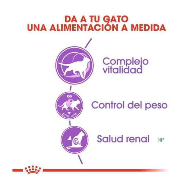 Royal Canin Gato Sterilised 7 1 5 Kg  Royal Canin Gato Sterilised 7 1 5 Kg