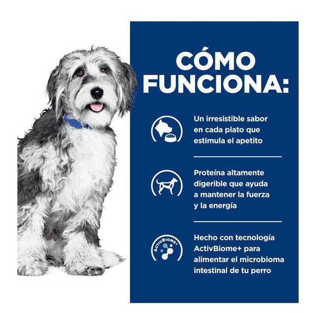 Hills Perro Adulto Prescription Diet Onc Care 2 72 Kg Hills Perro Adulto Prescription Diet Onc Care 2 72 Kg