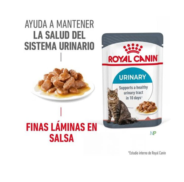 Royal Canin Gato Urinary Care Pouch 85 Gr  Royal Canin Gato Urinary Care Pouch 85 Gr
