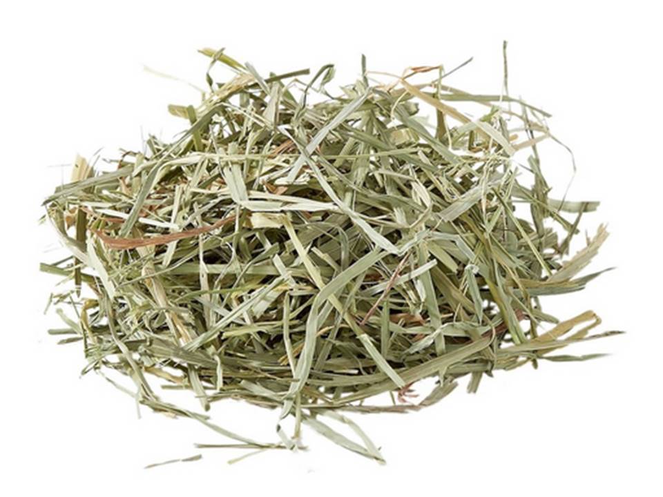 Oxbow Heno Orchard Grass 425Gr