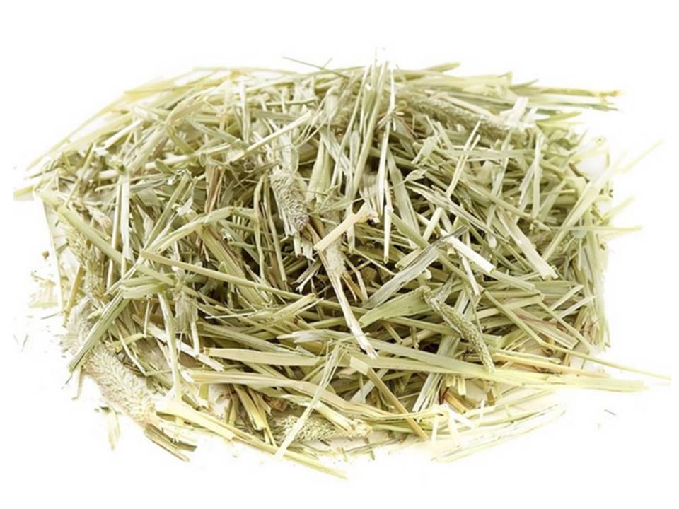 Oxbow Western Timothy Grass 425Gr