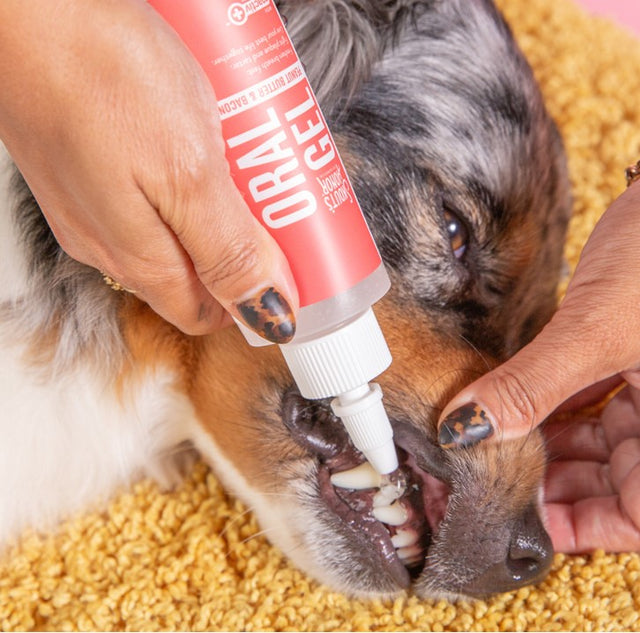 Skouts Honor Gel Bucal Mantequilla De Mani Y Tocino 118Ml Skouts Honor Gel Bucal Mantequilla De Mani Y Tocino 118Ml