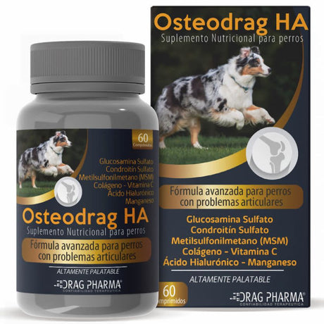 Vitaminas, Suplementos y Probióticos Osteodrag Ha 60 Comprimidos Vitaminas, Suplementos y Probióticos Osteodrag Ha 60 Comprimidos