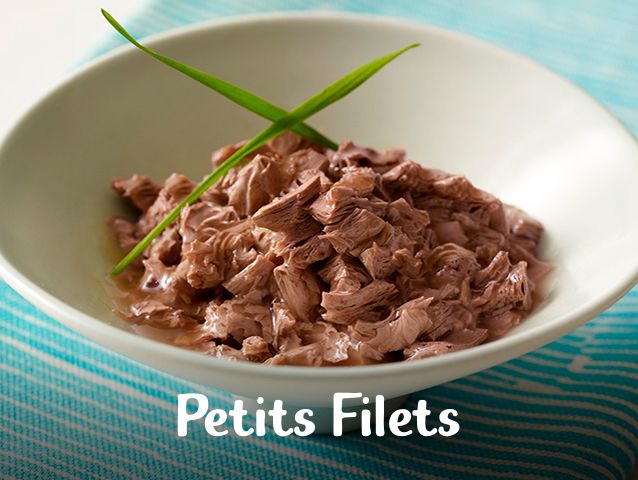 Fancy Feast Petit Filetes De Salmon 85Gr X 8 Unidades Grilled Salmon Feast In Gravy