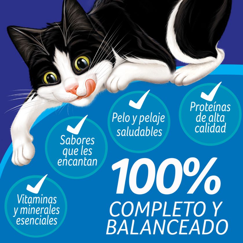 Felix Megamix Gatitos 3 Kg